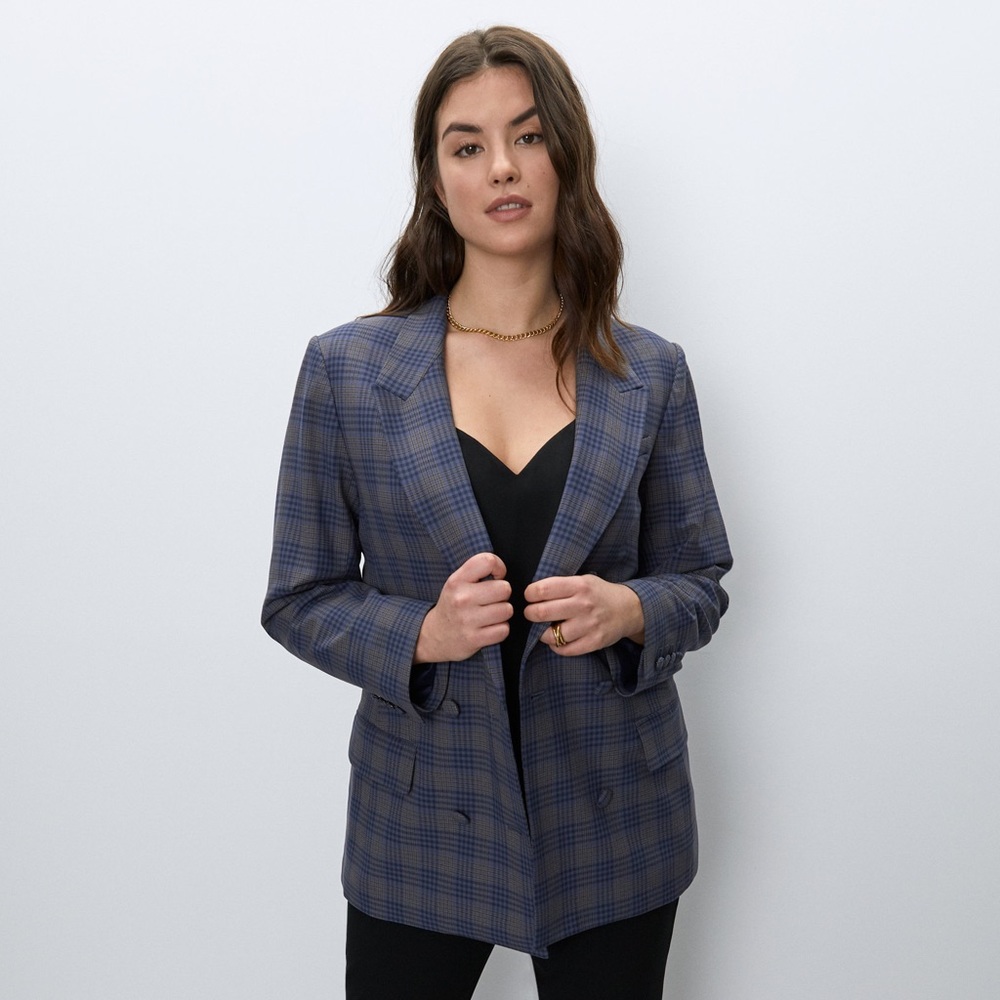 Aritzia Babaton Samuel Blazer